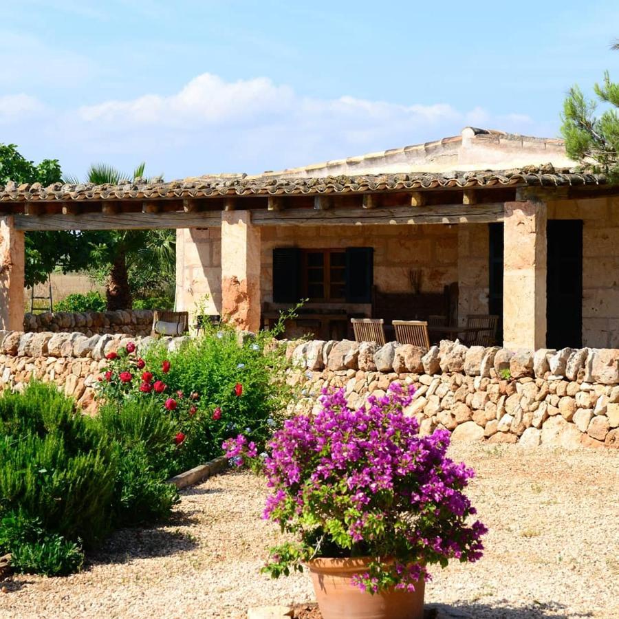 Lantställe Sant Blai Campos (Mallorca)