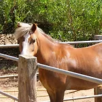 Agroturismo Finca Sant Blai
