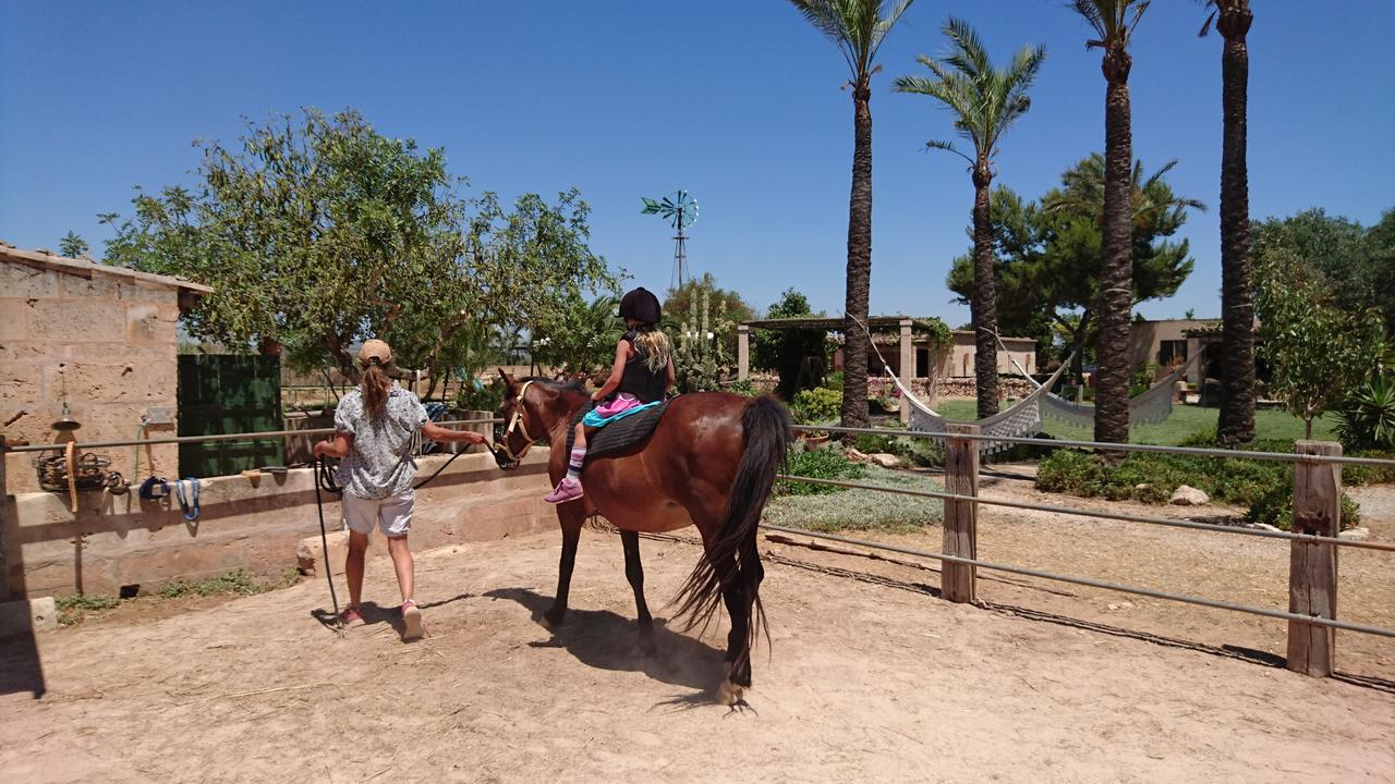 Landhaus Sant Blai Campos (Mallorca)